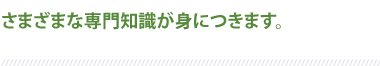 さまざまな専門知識が身につきます。